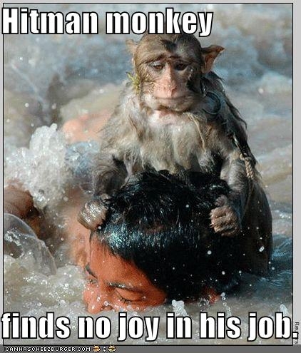 Hitman monkey finds no joy in his job.